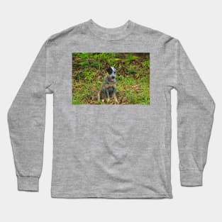 Kla pup c Long Sleeve T-Shirt